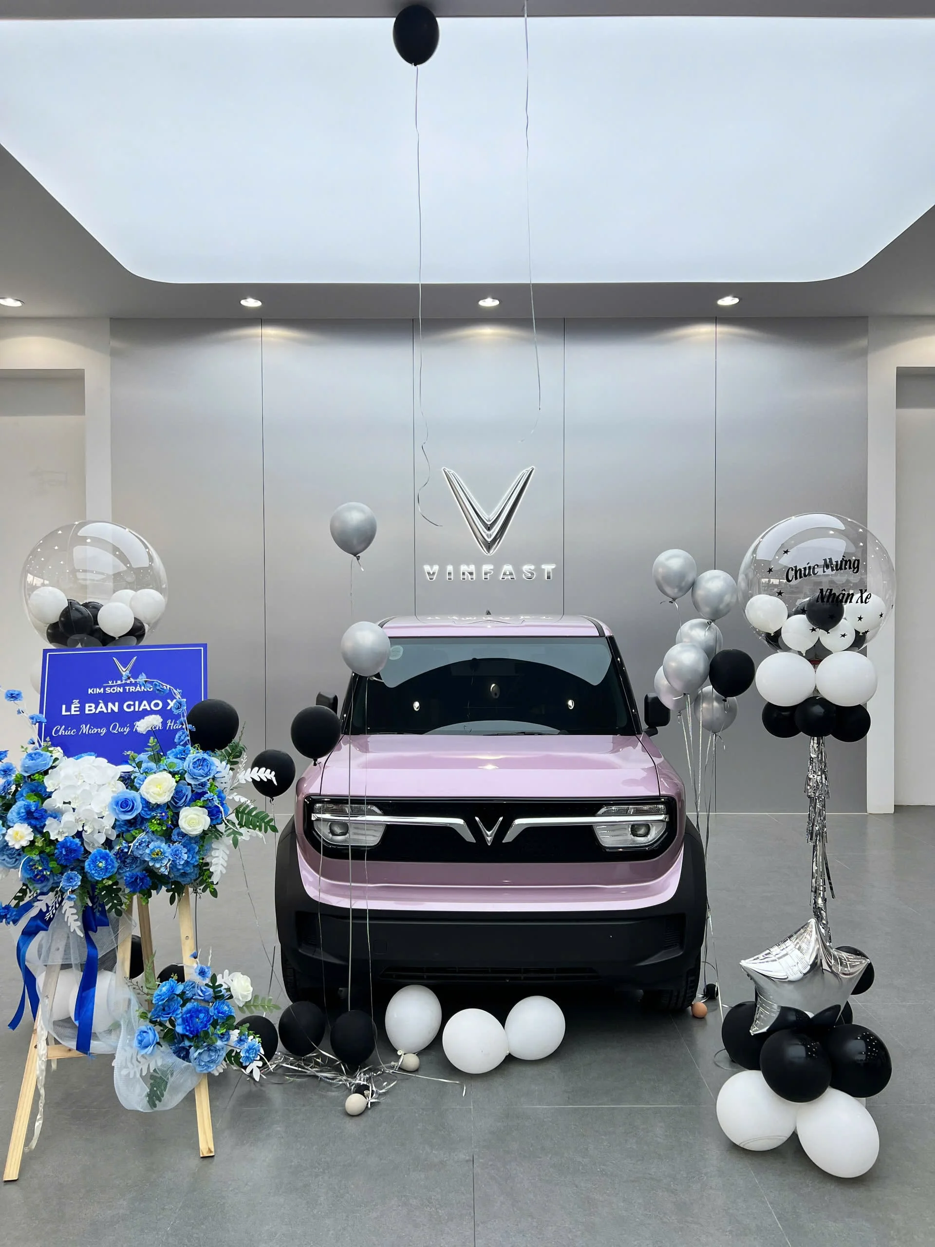VF3 hồng tím